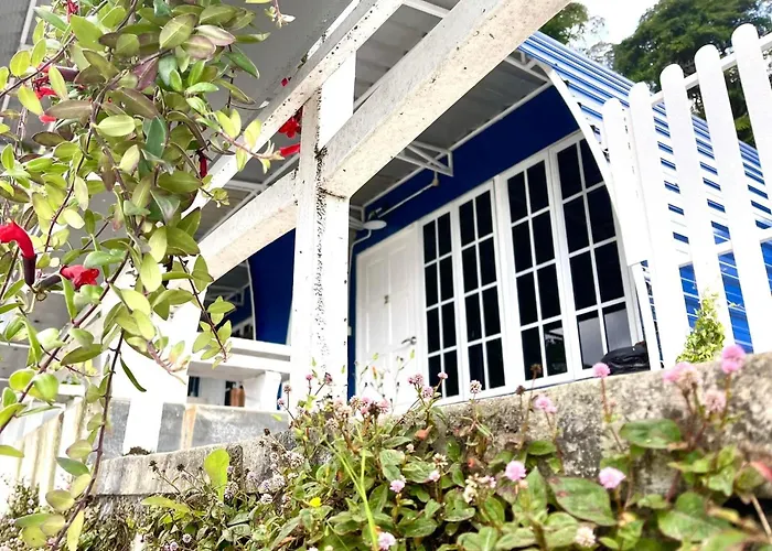 Blue Cabins By Pfordten Cottage