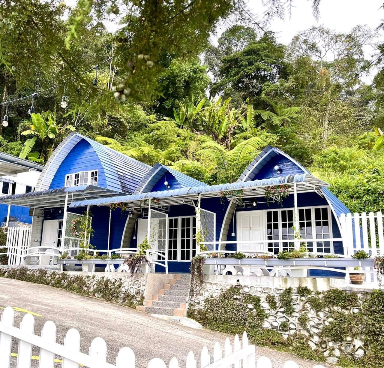 Homestay Blue By Pfordten *